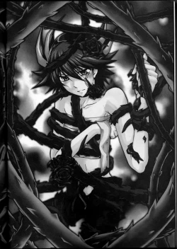 Page 3 of Victim Sanctuary