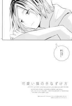 Page 11 of Kawaii Neko no Tenazukekata