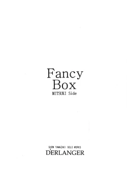 Page 3 of Fancy Box