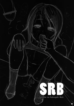 Page 19 of SRB