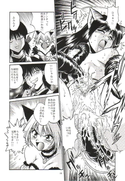 Page 17 of Tokyo Myu Myu