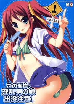 Download Kono Kaigan, Inran Otoko no Musume Shutsubotsu Chuui! | Beware of the Slutty Boy At This Beach!
