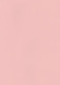 Page 4 of Hametsu Kairo