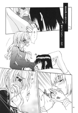 Page 83 of Rosa Gigantea to Yobanaide