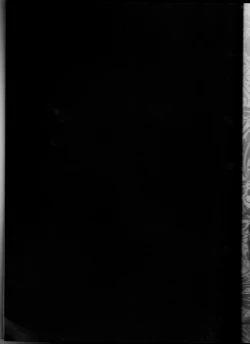 Page 2 of Tanemaki Gakuen Seitokai Shikkoubuenglish