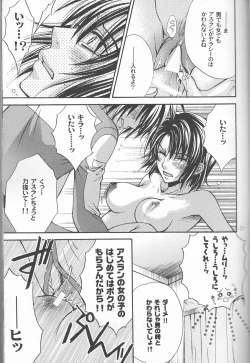 Page 21 of Ura Athrun.