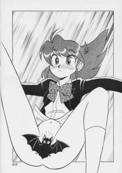 Page 21 of Ayasii Hihoukan