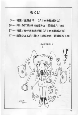 Page 3 of TWINTAIL PROJECT