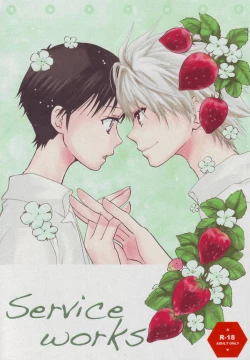 Page 1 of Service Works