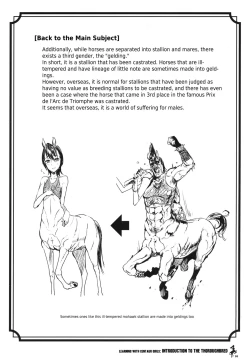 Page 15 of Centaur Musume de Manabu Hajimete no Thoroughbred | Learning With Centaur Girls: Introduction To The Thoroughbred