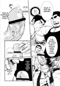 Page 16 of Male Honey Bee