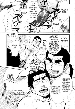 Page 21 of Male Honey Bee