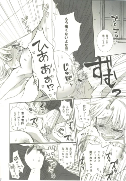 Page 25 of Pikapika gorogoro