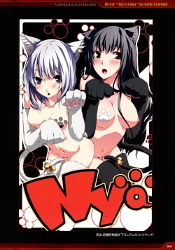 Page 33 of Dies irae Visual Fanbook - Red Book