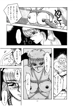 Page 13 of Shikiyoku Hokkedan 3