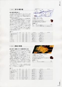 Page 87 of Moldavite Visual Fanbook