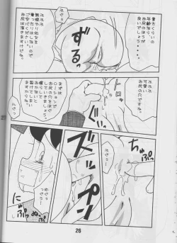 Page 25 of Twin Tail Vol.16