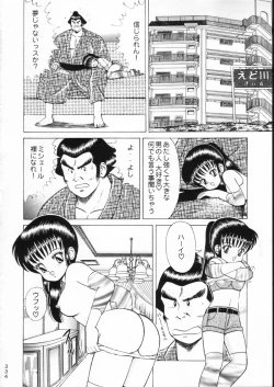 Page 333 of KATZE 15