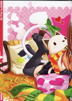 Page 7 of BBOX C-Plus 02