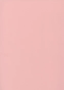 Page 200 of Papa Nanka Daikirai