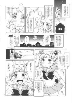 Page 11 of Chibiusa no Himitsu Diary