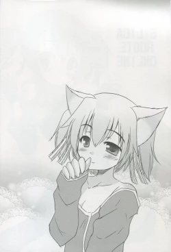 Page 3 of Silica Route Online