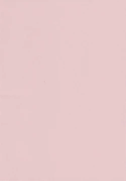 Page 4 of H Shichau zo!