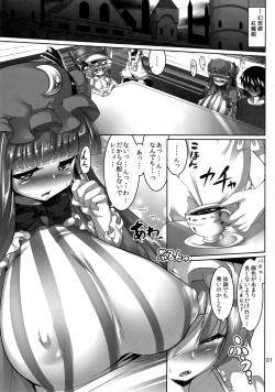 Page 3 of Patchouli wo Munimuni Suru Hon