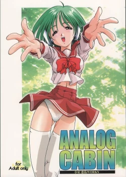 Page 1 of Analog Cabin