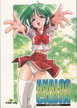 Download Analog Cabin