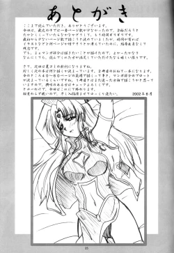 Page 24 of 2stroke CRM