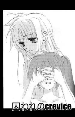 Page 18 of Fine Color Day