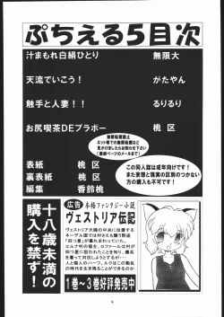 Page 3 of Puchi Eru 5