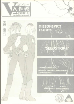 Page 1 of MISSONSPICY The Fifth Side-B)
