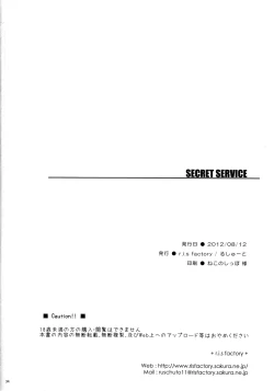 Page 33 of SECRET SERVICE