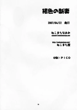Page 26 of Kasshoku no Niizuma