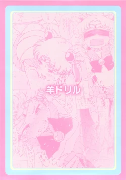 Page 27 of Chibiusa no Himitsu Diary