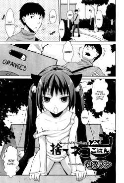 Page 1 of Sute Neko Gohan