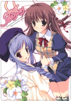 Page 1 of four seasons