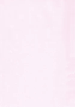 Page 3 of Hangyaku no Seitokai