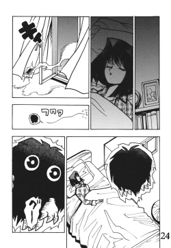 Page 23 of Seinen Miracle JUMP