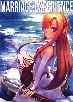 Download Marriage Experience