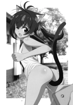 Page 2 of Himitsu no Asobi