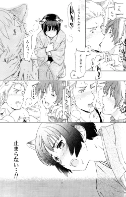 Page 13 of Axis Powers CANIDAE!!!