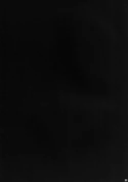 Page 24 of Iinari Diamond