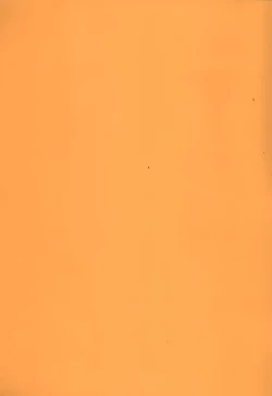 Page 2 of Paraiso Girl