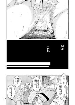 Page 36 of Saint Foire Festival 9 Anessa