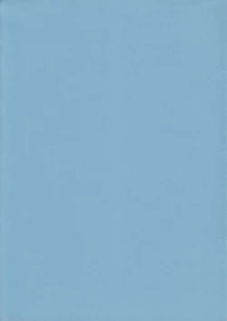 Page 2 of Buri no Hon