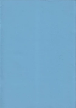 Page 31 of Buri no Hon