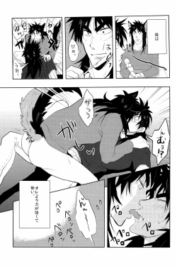 Page 13 of Inukai